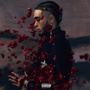 毛片高清在线网站
