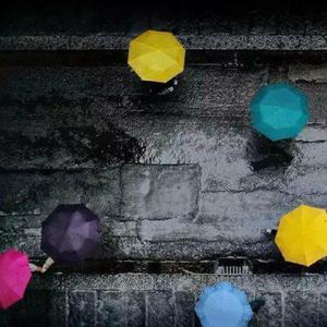 毛片高清在线网站
